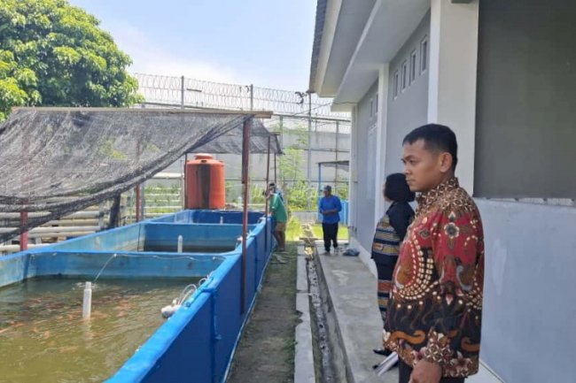 Lapas Perempuan Palu Kembangkan Pembinaan Produktif lewat Budidaya Ikan Nila