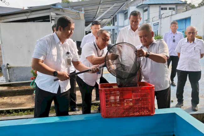 Panen 100 Kg Lele, Bukti Nyata Pembinaan Kemandirian di Lapas Kotabaru