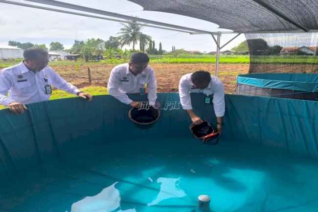 Rutan Pelaihari Bekali Warga Binaan dengan Keterampilan Perikanan dan Pertanian