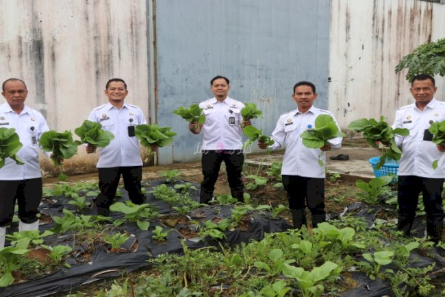 Lapas Tanjung Panen Sawi, Bukti Nyata Pemberdayaan Warga Binaan