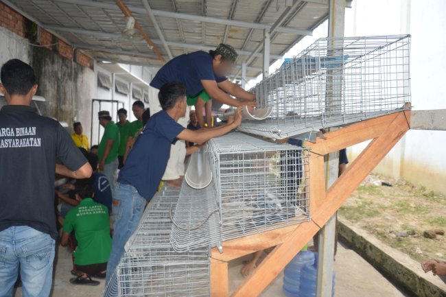Lapas Narkotika Muara Sabak Siapkan Kemandirian Warga Binaan Lewat Peternakan Ayam