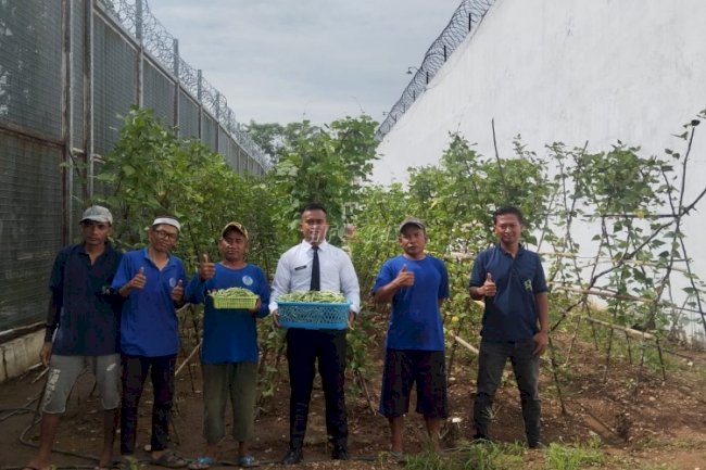 Dukung Program Ketahanan Pangan, Lapas Banjarbaru Panen 15 Kg Buncis 