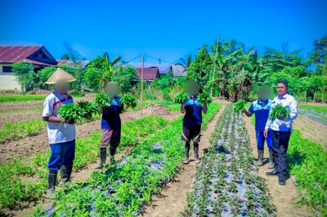 Dari Balik Jeruji, Warga Binaan Lapas Tolitoli Turut Wujudkan Ketahanan Pangan Nasional