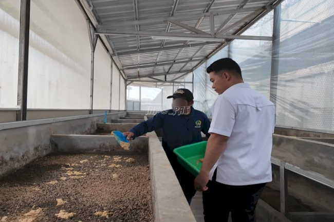 Lapas Cibinong Kembangkan Inovasi Budidaya Maggot Bernilai Jual Tinggi
