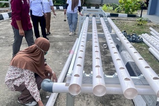 Bimbingan Kemandirian Bapas Tanjungpandan, Semangat Klien Perempuan Tak Kalah Saing di Pelatihan Hidroponik