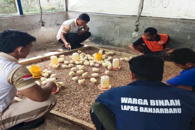 Dukung Ketahanan Pangan, Lapas Banjarbaru Tebar 100 Bibit Ayam 