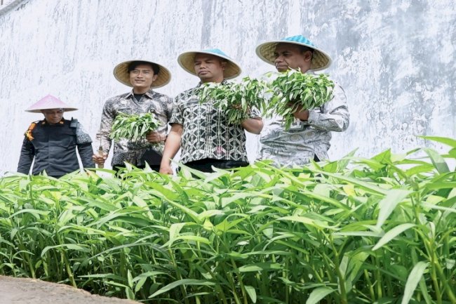 Rutan SoE Panen Sayur Kangkung, Wujud Pembinaan dan Ketahanan Pangan