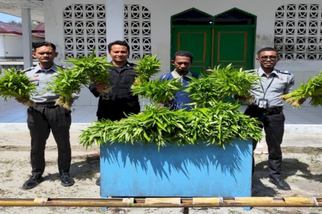 Lapas Geser Panen Kangkung Hidroponik Tahap Kedua, Hasilkan 60 Ikat Sayuran Segar