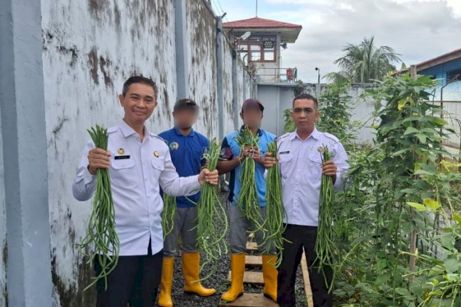 Dukung Ketahanan Pangan, Rutan Marabahan Panen 20 Kg Kacang Panjang