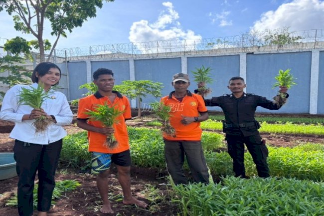 Dukung Reintegrasi Sosial, Lapas Saumlaki Sediakan Berbagai Program Pembinaan Kemandirian Warga Binaan