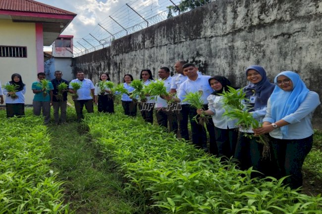 Warga Binaan Berkebun, Program Pembinaan Produktif di Lapas Tual Hasilkan 24 Kg Kangkung