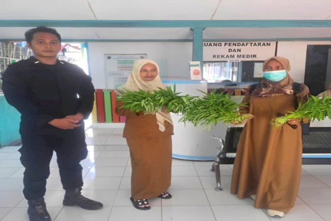 Kangkung Hidroponik Produksi Warga Binaan Lapas Geser Laris Diminati Masyarakat