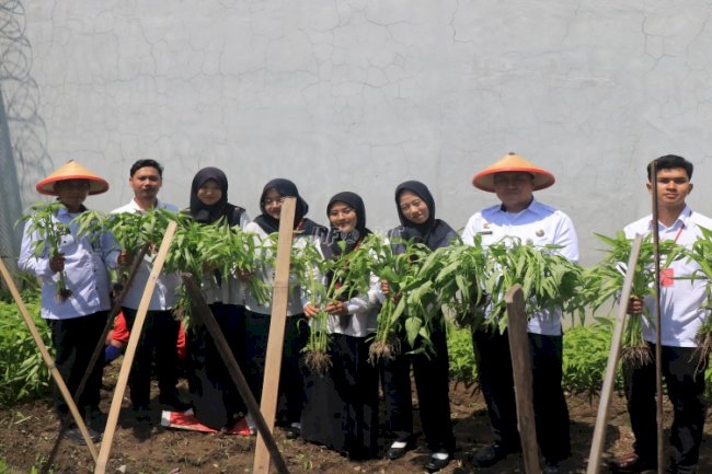 Dukung Ketahanan Pangan, Lapas Pemuda Madiun Panen Kangkung