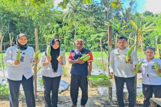 Panen 30 Kg Pare, Wujud Ketahanan Pangan Berkelanjutan di Lapas Wahai