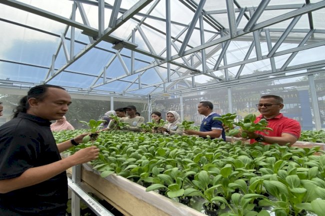 Klien Bapas Jambi Panen 1.000 Lubang Tanam Sawi Pakcoy Hidroponik Sistem DWC