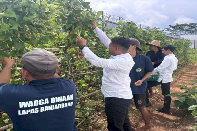  Lapas Banjarbaru Panen 20 Kg Kacang Buncis Hasil Budidaya Warga Binaan