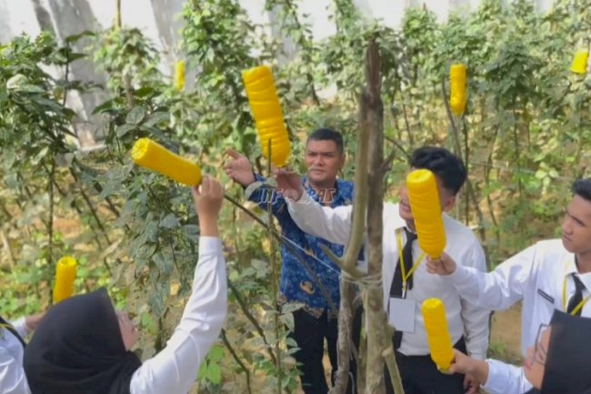 Lapas Kotabaru Terapkan Metode Perangkap Botol Kuning untuk Pengendalian Hama Tanaman