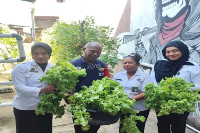 Warga Binaan Lapas Wahai Sukses Panen Aneka Komoditas Sayuran