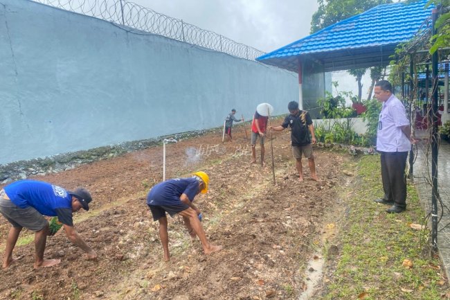 Dukung Ketahanan Pangan, Warga Binaan Lapas Narkotika Karang Intan Tebar 4 Kg Bibit Kangkung di SAE 1