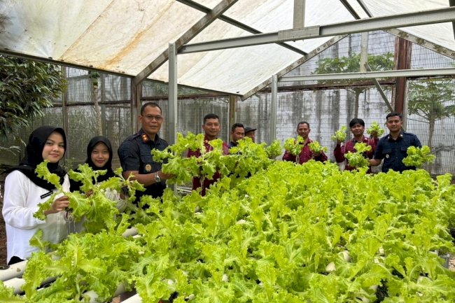 Panen 30 Kg Selada, Warga Binaan Lapas Banjarbaru Sukses Kembangkan Hidroponik