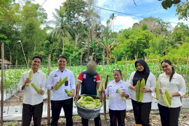 Lapas Wahai Libatkan Peserta Magang Panen Sayur Pare, Beri Pengalaman Praktis