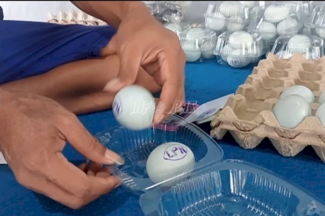 Warga Binaan Lapas Narkotika Karang Intan Belajar Produksi Telur Asin sebagai Bekal Kemandirian