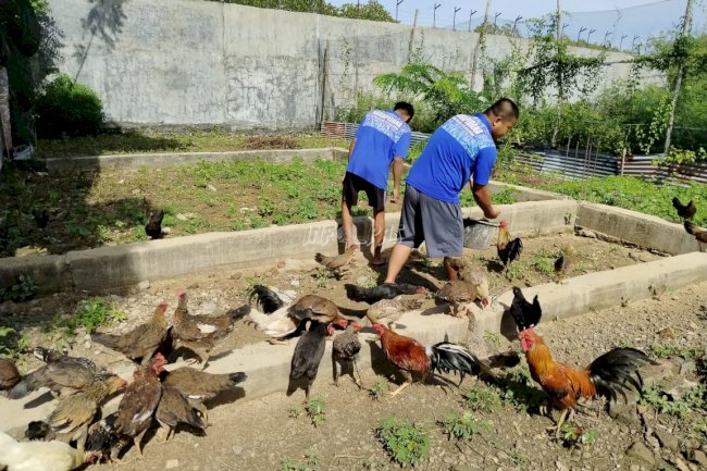 Kanwil Ditjenpas Sulsel Apresiasi Terobosan Ketahanan Pangan Rutan Selayar