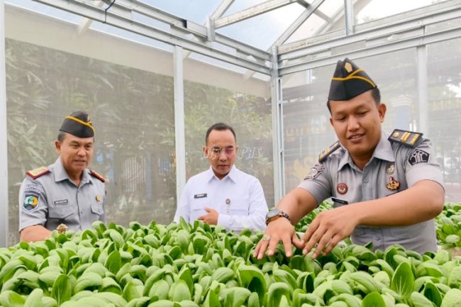 Hidroponik Bapas Jambi Diapresiasi Kakanwil Ditjenpas Jambi