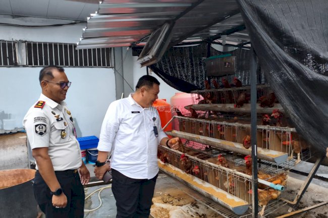 Kakanwil Ditjenpas Kaltim Tinjau Peternakan Ayam Petelur dan budidaya Ikan Air Tawar Rutan Balikpapan