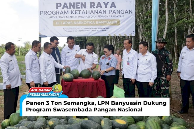Panen 3 Ton Semangka, LPN Banyuasin Dukung Program Swasembada Pangan Nasional