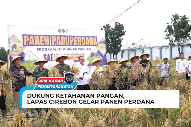 DUKUNG KETAHANAN PANGAN, LAPAS CIREBON GELAR PANEN PERDANA