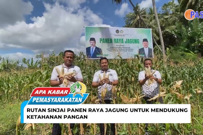 Sinjai Detention Center Holds a Large Corn Harvest to Support Food Security