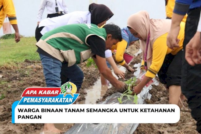 Residents Plant Watermelons for Food Security