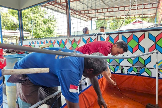 Kembangkan Budidaya Ikan Nila, Lapas Ambon Dorong Kemandirian Warga Binaan