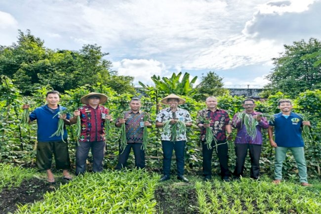 Berdayakan Warga Binaan, Lapas Bandanaira Panen Perdana Kacang Panjang di Lahan SAE