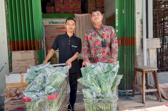 Produktivitas Meningkat, Lapas Kotabaru Kembali Panen 35 Ikat Pakcoy Hidroponik