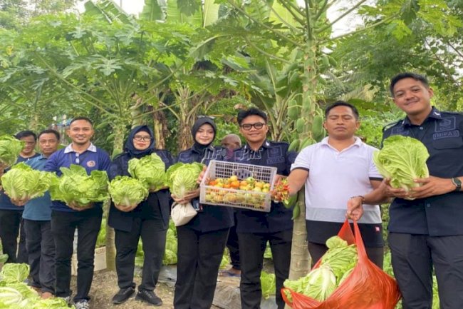 Dukung Kemandirian Warga Binaan, Lapas Wahai Panen Sayur bersama Kanwil Ditjenpas Maluku