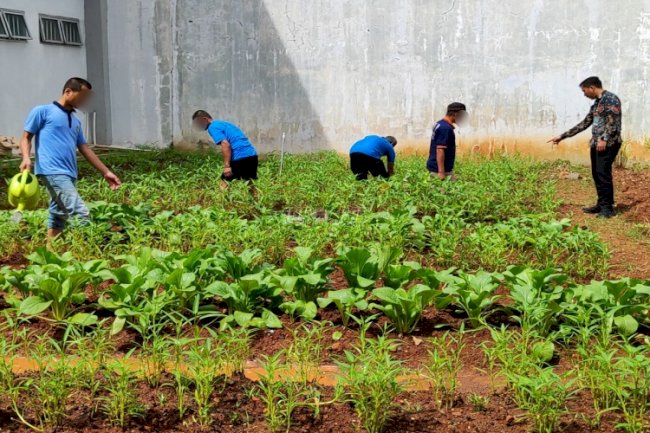 Sulap Lahan Kosong Jadi Kebun Produktif, Lapas Cibinong Bekali Warga Binaan Keterampilan Bertani