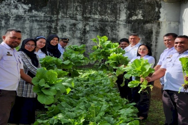 Akhir Tahun Produktif di Lapas Tual, Panen 22 Kg Sawi