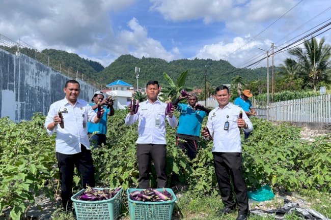 Lapas Luwuk Panen 1.080 Kg Sayuran Selama Desember 2025, Siap Sukseskan Panen Raya 2026