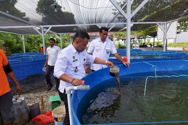 Produktif dan Efisien, Lapas Namlea Kembangkan Budidaya Ikan Nila Bioflok