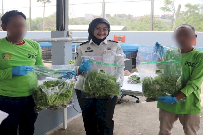 Lapas Cibinong Panen 45 Kg Selada Hidroponik dan 71 Kg Lele