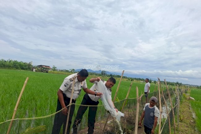 Kolaborasi dengan Pemda, Lapas Banyuwangi Tebar 2.000 Benih Nila di SAE