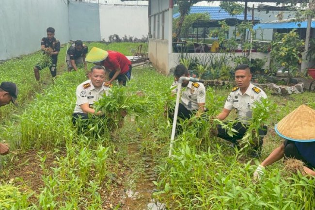 Panen Perdana Awal Tahun di Lapas Narkotika Karang Intan Hasilkan 100 Kg Kangkung 