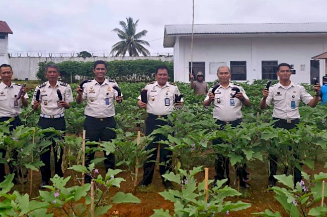 Panen 100 Kg Terong Ungu, Rutan Pelaihari Optimalkan Lahan Blok Hunian E
