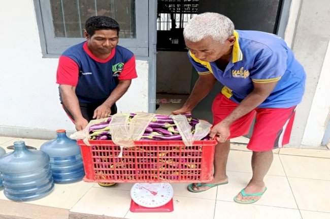 Hasil Panen 26 Kg Terong Diserahkan ke Dapur Lapas Atambua sebagai Bahan Makanan