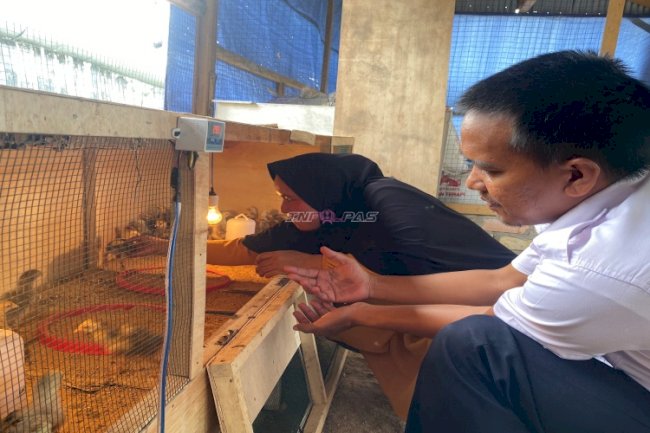 Manajemen Pembesaran Ayam KUB di Lapas Perempuan Jambi Dukung Program Kemandirian Warga Binaan