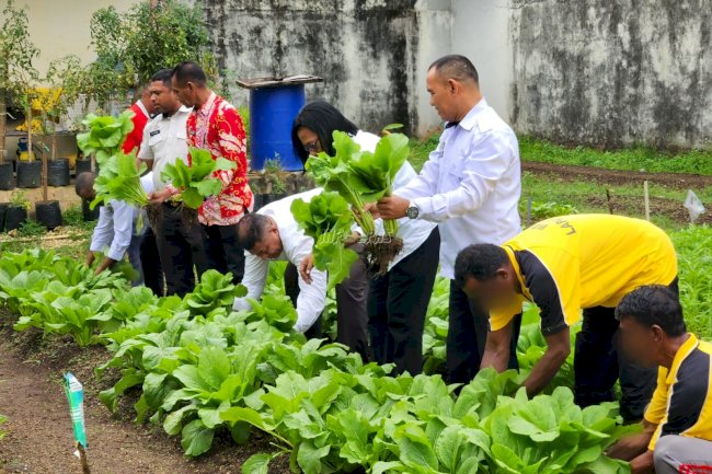 Lapas Tual Perkuat Ketahanan Pangan lewat Panen Raya Serentak