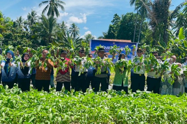 Panen 40 Kg Sayuran, Lapas Tolitoli Donasikan untuk Korban Bencana di Sumatra