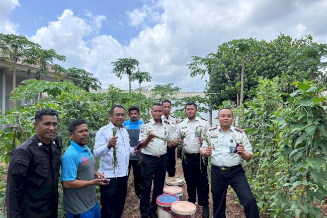 Wujudkan Ketahanan Pangan, Lapas Saumlaki Ikuti Panen Raya Serentak